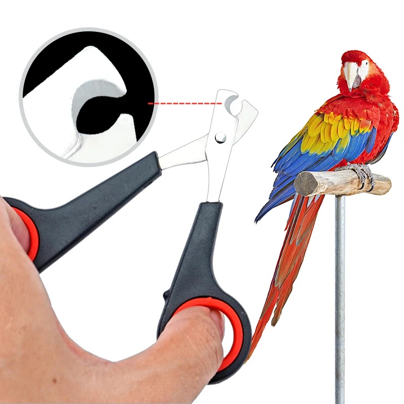 Tesoura de Unhas para Pássaros - Grooming Scissors avaliação e preço