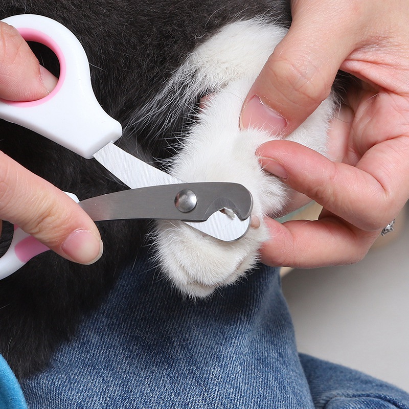 Tesoura de Cuidado para Unhas  - Grooming Scissors avaliação e preço